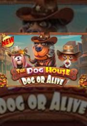 Bocoran RTP The Dog House - Dog or Alive di RTP PIN4D